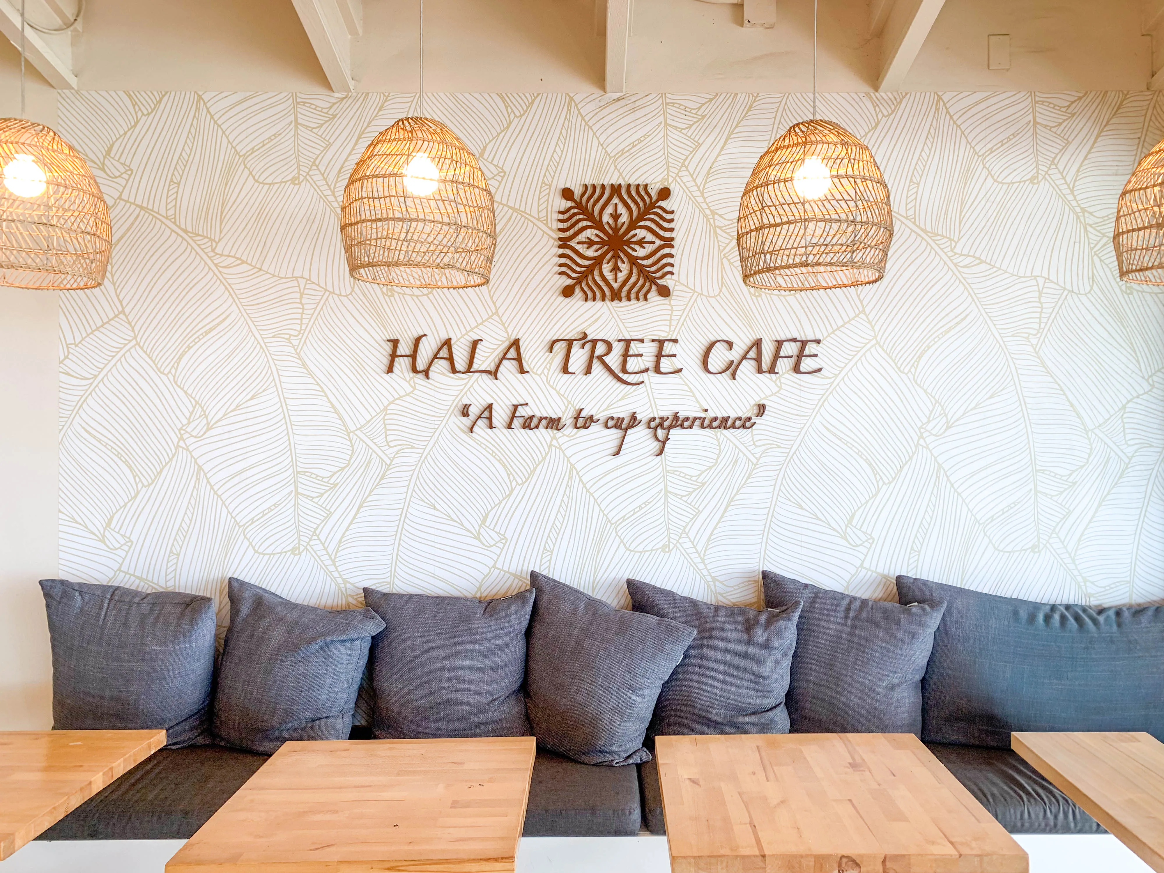 ハラツリーカフェの店内